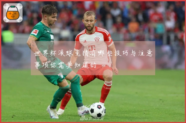 世界杯滚球竞猜有哪些技巧与注意事项你需要知道的