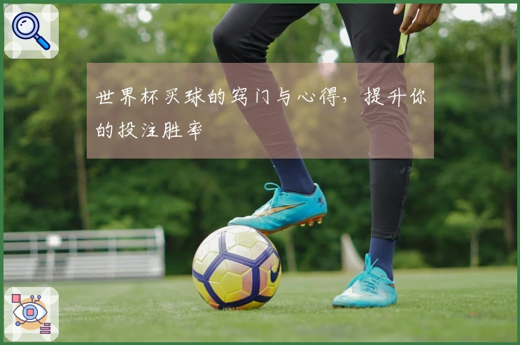 世界杯买球的窍门与心得，提升你的投注胜率